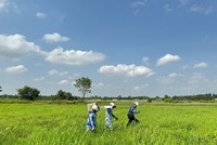 Cắm mốc giải phóng mặt bằng tuyến cao tốc TP.HCM - Mộc Bài. Ảnh: Lê Anh