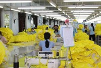 Nhà nhập khẩu Canada có nhu cầu tìm kiếm các nhà cung ứng thực phẩm, dệt may, giày dép và vật liệu tại Việt Nam. 