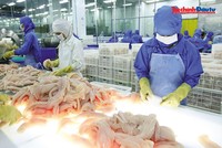 6 tháng đầu năm nay, kim ngạch xuất khẩu thủy ước đạt khoảng 5,7 tỷ USD, tăng khoảng 11% so với cùng kỳ năm trước. Ảnh: Lê Toàn