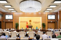 Phó chủ tịch Quốc hội Nguyễn Thị Thanh điều hành phiên thảo luận. 