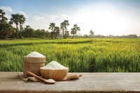 Việt Nam duy trì sản lượng xuất khẩu gạo ở mức cao trong nửa đầu năm 2026, nhưng giá trị thu về lại sụt giảm so với cùng kỳ do áp lực cạnh tranh toàn cầu