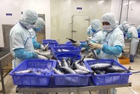 Doanh nghiệp Việt xuất khẩu sang Israel lưu ý quy định về lao động cưỡng bức. 