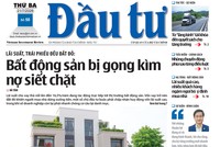 Báo Đầu tư số 58