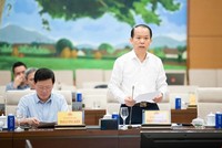 Bộ trưởng Bộ Tư pháp Hoàng Thanh Tùng trình bày tờ trình. Ảnh: QH. 