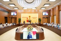 Phó Chủ tịch Quốc hội Nguyễn Thị Hồng điều hành phiên thảo luận.
