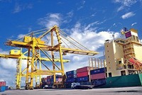 Vượt rào cản thuế quan, xuất khẩu hướng đích 2 con số 