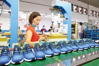 Thuế quan và các tiêu chuẩn mới từ thị trường xuất khẩu đang buộc doanh nghiệp Việt tăng tốc nâng cấp năng lực cạnh tranh