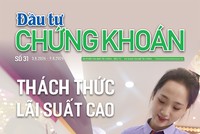 Báo Đầu tư Chứng khoán số 31