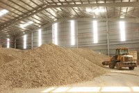 Sắn lát trong kho chờ xuất khẩu. Ảnh: ĐVCC.