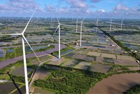 Cần Thơ đề xuất bổ sung vào quy hoạch 11 dư án điện gió. (Ảnh: Điện gió Lạc Hòa)