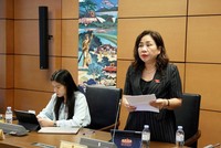 Đại biểu Trần Thị Hiền (Ninh Bình) phát biểu tại tổ - Ảnh: QH.