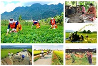 Bộ Tài chính đề xuất thống nhất 4 chương trình mục tiêu quốc gia thành một Chương trình tổng thể, nhằm nâng cao hiệu quả quản lý, sử dụng nguồn lực và tăng cường phân cấp cho địa phương.
