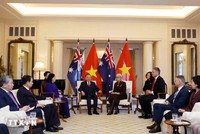 Tổng Bí thư, Chủ tịch nước Tô Lâm hội kiến Toàn quyền Australia Sam Mostyn. (Ảnh: Thống Nhất/TTXVN)