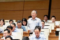Đại biểu Trịnh Ngọc Phương (Tây Ninh) phát biểu tại hội trường - Ảnh: QH. 