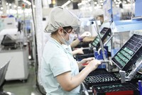 Xuất khẩu hàng điện tử sang Australia 7 tháng đầu năm nay dẫn đầu với kim ngạch trên 1,3 tỷ USD. 