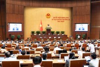 Phiên họp sáng 12/8 của Quốc hội - Ảnh: QH. 