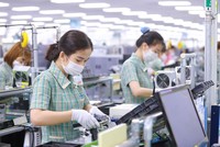Nhập siêu từ Hàn Quốc 7 tháng đầu năm tăng gần 87% so với cùng kỳ. 