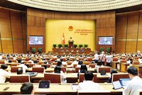 Phiên thảo luận toàn thể về Dự án Luật Phát triển đô thị 