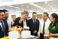 Quảng Trị đang tăng cường hợp tác với các địa phương Nhật Bản trên nhiều lĩnh vực. Ảnh: Trường Nhật