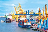 Tổng kim ngạch xuất nhập khẩu cả nước tính đến 15/8 vượt 712 tỷ USD.