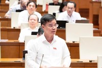 Đại biểu Nguyễn Xuân Nghiêm tham gia thảo luận - Ảnh: QH 