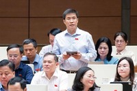 Đại biểu Hoàng Minh Hiếu phát biểu tại hội trường - Ảnh: QH