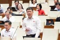 Đại biểu Tạ Văn Hạ tham gia thảo luận - Ảnh: QH.