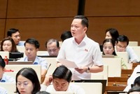 Đại biểu Trịnh Xuân An tham gia thảo luận - Ảnh: QH.
