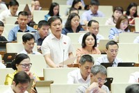 Đại biểu Nguyễn Khánh Vũ phát biểu - Ảnh: Quang Phúc.