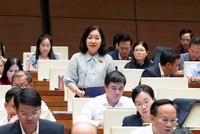 Đại biểu Trương Thị Bích Hạnh phát biểu - Ảnh: QH.