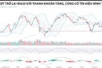 Đáy 2 được xác nhận