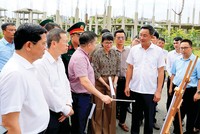 Lãnh đạo TP. Đà Nẵng thường xuyên kiểm tra, tháo gỡ vướng mắc cho các dự án, góp phần thúc đẩy giải ngân và tạo động lực tăng trưởng