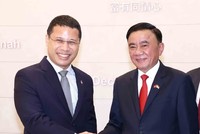 Ủy viên Bộ Chính trị, Thường trực Ban Bí thư Trần Cẩm Tú gặp Chủ tịch Đảng Hành động Nhân dân Singapore, Bộ trưởng Bộ Giáo dục Singapore Desmond Lee. Ảnh: TTXVN.