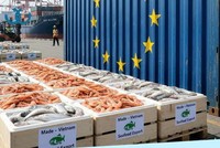 Xuất khẩu thủy sản sang EU phải chuẩn hóa tiêu chuẩn về bao bì theo quy định của thị trường này.