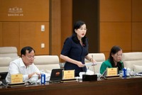  Chủ nhiệm Ủy ban Khoa học, công nghệ và môi trường Nguyễn Thanh Hải phát biểu - Ảnh: QH. 