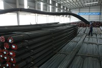 Đầu tư công và sự phục hồi của xây dựng được kỳ vọng tiếp tục thúc đẩy nhu cầu thép trong nước