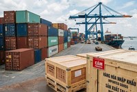 Việt Nam nghiêm cấm mọi hình thức lao động cưỡng bức, tuân thủ nghiêm túc các quy định của Tổ chức Lao động Quốc tế (ILO)...