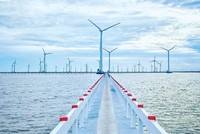 Cà Mau chấp thuận nhà đầu tư dự án điện gió vốn hơn 1.222 tỷ đồng 