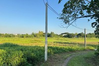 Hiện trạng khu đất nằm trong quy hoạch dự án vẫn chỉ là ruộng đồng. Ảnh: Phóng viên