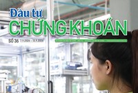 Báo Đầu tư Chứng khoán số 36