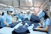 Xuất khẩu hàng dệt may 8 tháng năm 2026 chỉ tăng 1,6% so với cùng kỳ năm ngoái.