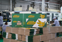 Xuất khẩu sang Italia phải tuân thủ nghiêm ngặt quy định về bao bì, chế tài xử phạt sẽ áp dụng từ tháng 1/2030. 