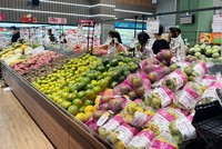 Hà Nội tăng cường giám sát an toàn thực phẩm đối với rau, củ, trái cây và các sản phẩm trồng trọt tại vùng sản xuất tập trung. Ảnh tư liệu.