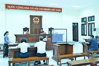Hội đồng xét xử vụ án dân sự công ích, Tòa án Nhân dân Khu vực 4 - Hà Nội.