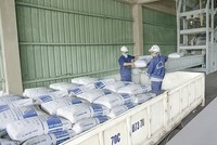 Tiêu thụ xi măng 8 tháng năm 2026 tăng cả ở kênh nội địa lẫn xuất khẩu. 