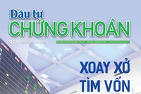 Báo Đầu tư Chứng khoán số 37