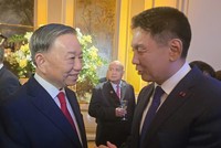 Tổng Bí thư, Chủ tịch nước Tô Lâm gặp Tổng thống Mông Cổ Ukhnaagiin Khürelsükh. (Ảnh: TTXVN)