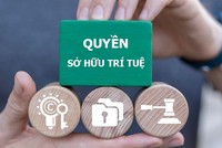 Đẩy mạnh công tác sở hữu trí tuệ phục vụ phát triển kinh tế - xã hội trong tình hình mới.