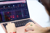 Dù các ETF mới đang mở rộng cách tiếp cận thị trường nhưng lựa chọn dành cho nhà đầu tư vẫn chủ yếu xoay quanh cổ phiếu
