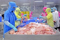 Thủy sản mang về hơn 8 tỷ USD trong 8 tháng năm 2026, nhưng đang gặp nhiều rào cản tại các thị trường 